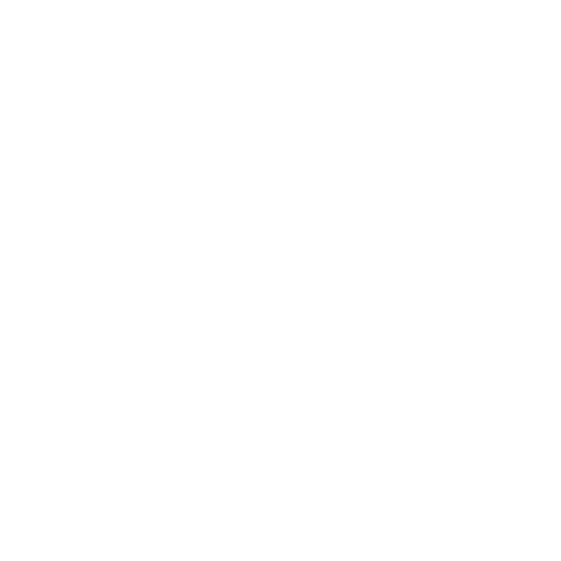 accountant icon